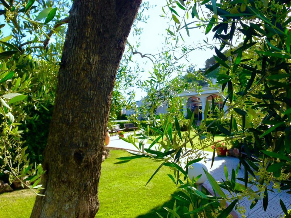 Hotel D'Altavilla Canosa di Puglia Exterior foto